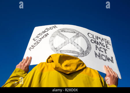 Londres, Royaume-Uni. 17 novembre, 2018. Les membres de la rébellion Extinction fermer cinq ponts de Londres sur la tamise le samedi 17 novembre dans le cadre de leur manifestation d'amener le gouvernement à agir sur les changements climatiques. Credit : Ashley Cooper pics/Alamy Live News Banque D'Images