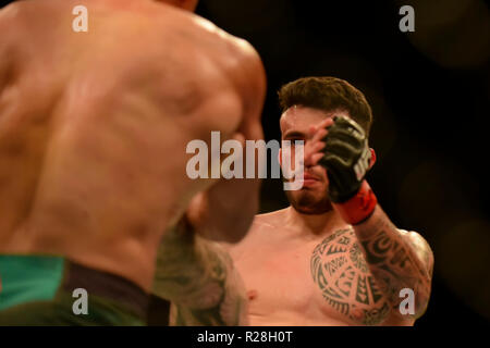 Buenos Aires, Argentine. 17 novembre, 2018. Magny et Ponzinibbio tenue à l'Aréna de Roca Park. Buenos Aires, Ar. Credit : Reinaldo Reginato/FotoArena/Alamy Live News Banque D'Images