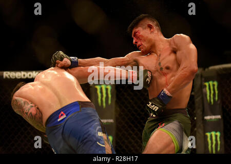 Buenos Aires, Argentine. 17 novembre, 2018. Magny et Ponzinibbio tenue à l'Aréna de Roca Park. Buenos Aires, Ar. Credit : Reinaldo Reginato/FotoArena/Alamy Live News Banque D'Images