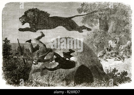 Vieille illustration lion saute au-dessus de chasseur et son assistant. Par Janet-Lange après Baldwin, publ. sur le Tour du Monde, Paris, 1863 Banque D'Images