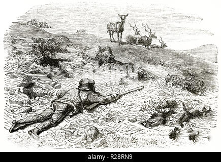 Vieille illustration d'attente chasseur sentinelle de l'antilope de distraction. Par auteur non identifié, publ. sur le Tour du Monde, Paris, 1863 Banque D'Images