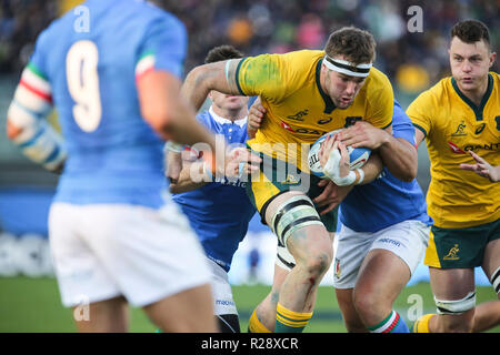 Padoue, Stadio Euganeo, Italie. 17 novembre, 2018. Blocage de wallabies Izack Rodda breaks de défense de l'Italie en novembre Cattolica Test Match 2018. Credit : Massimiliano Carnabuc/Pacific Press/Alamy Live News Banque D'Images