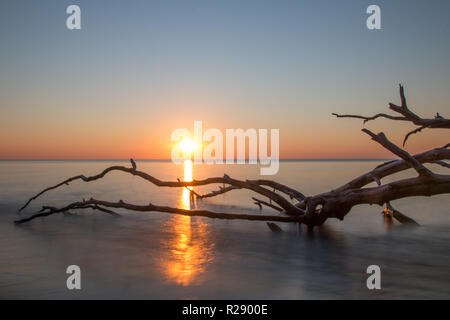 Coucher de soleil à la côte de la mer Baltique allemande près de Prerow. Banque D'Images