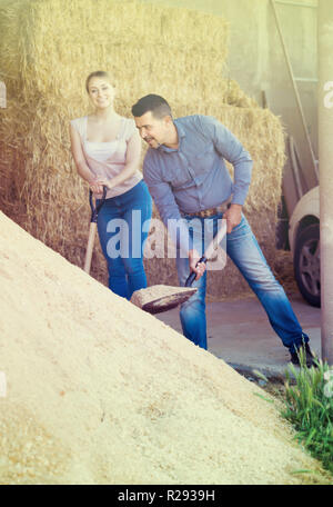 Deux travailleurs agricoles smiling holding big pelles sur sable à côté du tas sur l'intérieur de la ferme Banque D'Images