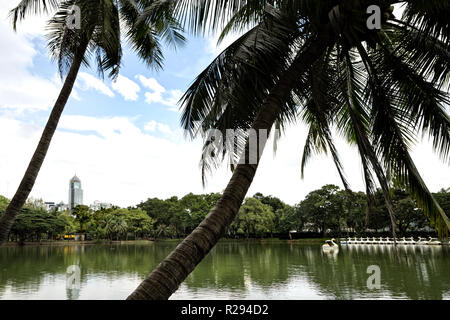 Paysage de palmiers avec vue sur le lac dans le Parc Lumphini à Bangkok, Thaïlande Banque D'Images