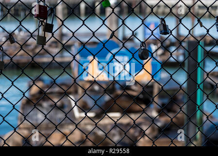 Voir du Pier 39 du treillis métallique en face de la mer-lion colonie avec cadenas amoureux sur place. Il franciscisco san amour. Banque D'Images