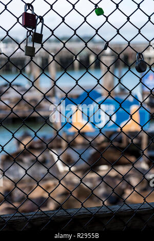 Voir du Pier 39 du treillis métallique en face de la mer-lion colonie avec cadenas amoureux sur place. Il franciscisco san amour. Banque D'Images