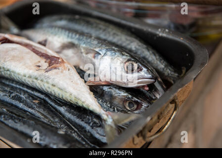 Poissons de mer nettoyé et prêt à être cuit sur un gril. Poissons de mer nettoyés dans un pot. Alimentation saine. La préparation des aliments. Banque D'Images