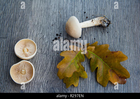 Arrière-plan de l'automne avec des champignons et des feuilles sur base de bois Banque D'Images