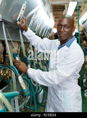 Ferme laitière en peignoir homme travaillant avec grange dans les machines à traire la vache automatique Banque D'Images