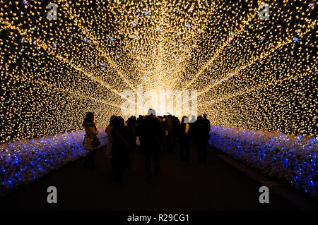 Le tunnel de lumière en Nabana no Sato jardin la nuit en hiver, Mie, Japon Banque D'Images