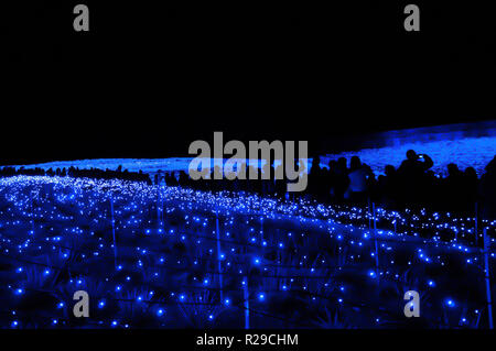 La mer de lumière en Nabana no Sato jardin la nuit en hiver, Nagano, Japon Banque D'Images