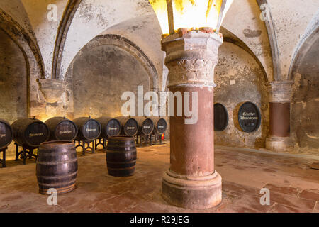 Cave à vin de Kloster Eberbach Eberbach (monastère), Eichberg, Rhénanie-Palatinat, Allemagne Banque D'Images