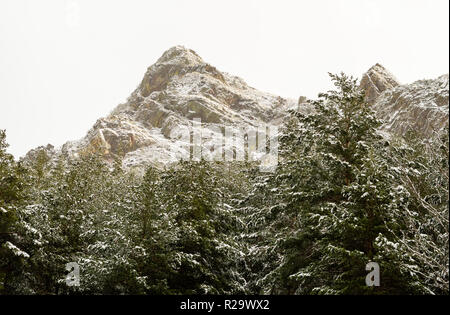 Paysage d'hiver à León, Espagne, avec forêt de pins au premier plan et des montagnes enneigées en arrière-plan, Banque D'Images