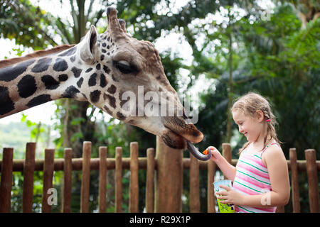 L'alimentation de la famille girafe zoo. Les enfants se nourrissent les girafes dans le parc safari tropicales pendant les vacances d'été. Enfants regarder les animaux. Petite fille donnant à fruits Banque D'Images