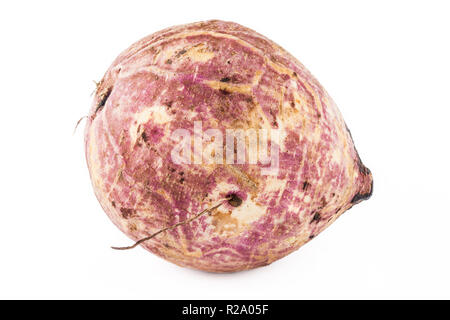 La patate douce (Ipomoea batatas) isolés dans l'arrière-plan blanc Banque D'Images