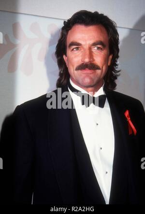 Los Angeles, CA - le 23 janvier : l'acteur Tom Selleck assiste à la 50e Golden Globe Awards le 23 janvier 1993 au Beverly Hilton Hotel à Beverly Hills, Californie. Photo de Barry King/Alamy Stock Photo Banque D'Images