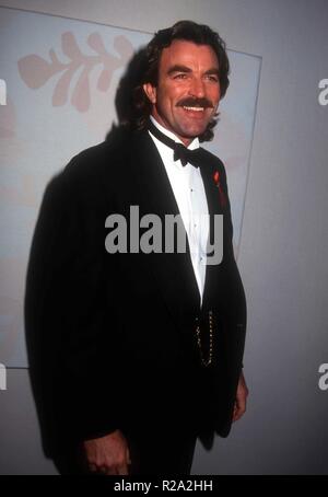 Los Angeles, CA - le 23 janvier : l'acteur Tom Selleck assiste à la 50e Golden Globe Awards le 23 janvier 1993 au Beverly Hilton Hotel à Beverly Hills, Californie. Photo de Barry King/Alamy Stock Photo Banque D'Images