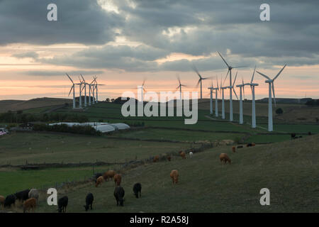 Royd Moor Wind Farm, nr vert Millhouse, Barnsley, UK Banque D'Images