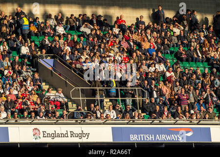 London, Royaume-Uni, samedi, 17 novembre 2018, le RFU, Rugby, stade, Angleterre, 183 automne International, l'Angleterre contre le Japon, © Peter Spur Banque D'Images