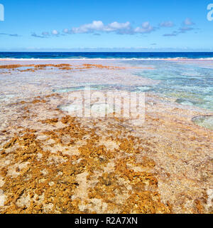 En Polynésie les rochers du littoral comme paradise concept et se détendre Banque D'Images