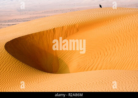 Nid-de-Corbeau debout sur une dune de sable dans le désert de Wahiba, Sultanat d'Oman. Banque D'Images