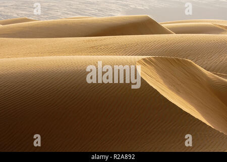 Les dunes de Wahiba désert, Sultanat d'Oman. Banque D'Images