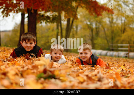 Trois garçons jouant dans les feuilles d'Automne dans le pays Banque D'Images