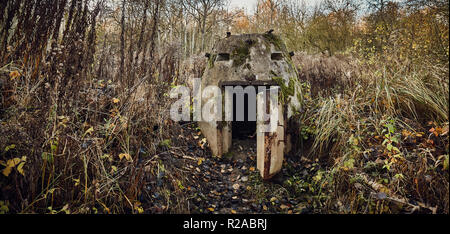 WWII German un homme à l'abri dans une forêt près de Szczecin, Pologne. Banque D'Images