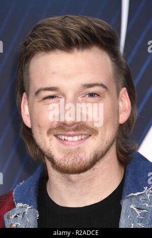 Nashville, Tennessee, USA. 14Th Nov, 2018. Morgan Wallen lors d'arrivées de la Country Music Association Awards 2018. Crédit : Laura Farr/ZUMA/Alamy Fil Live News Banque D'Images