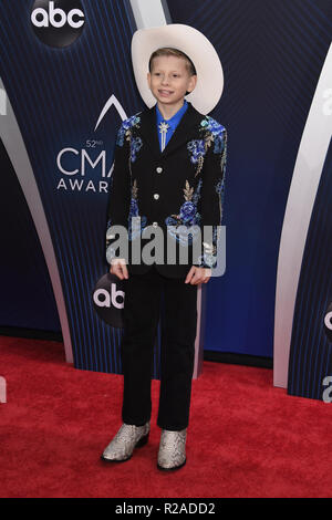 Nashville, Tennessee, USA. 14Th Nov, 2018. Mason Ramsey lors arrivés pour la Country Music Association Awards 2018. Crédit : Laura Farr/ZUMA/Alamy Fil Live News Banque D'Images