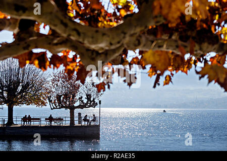 Beijing, Chine. 12Th Nov, 2018. Photo prise le 12 novembre 2018 montre les beaux paysages à la fin de l'automne à Zurich, Suisse. Crédit : Michele Limina/Xinhua/Alamy Live News Banque D'Images