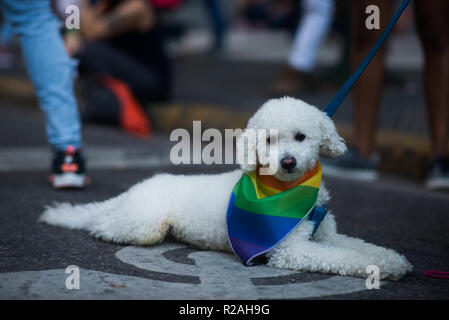 Buenos Aires, Argentine. 17 novembre, 2018. Ce samedi 17 novembre, Buenos Aires a une nouvelle Gay Pride Mars, où des milliers de personnes ont exigé la reconnaissance des droits de la communauté LGBTIQ. Buenos Aires est considérée comme la capitale gay de l'Amérique latine, parce que c'est une ville ouverte et inclusive pour tous ses visiteurs. Crédit : Mario De Fina/FotoArena/Alamy Live News Banque D'Images