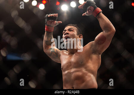 Buenos Aires, Argentine. 17 novembre 2018 l'UFC Fight Night 140. Michael Prazares Fabinski Bartosz défaites par présentation au cours de l'UFC Fight Night 140 au stade Marie Terán de Weiss, Buenos Aires le samedi 17 novembre 2018. ©MI News & Sport Ltd | Alamy Live News Banque D'Images