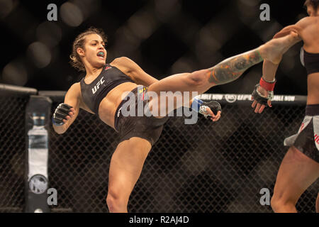 Buenos Aires, Argentine. 17 novembre 2018 l'UFC Fight Night 140. Cynthia Calvillo bat Poliana Botelho par présentation au cours de l'UFC Fight Night 140 au stade Marie Terán de Weiss, Buenos Aires le samedi 17 novembre 2018. ©MI News & Sport Ltd | Alamy Live News Banque D'Images