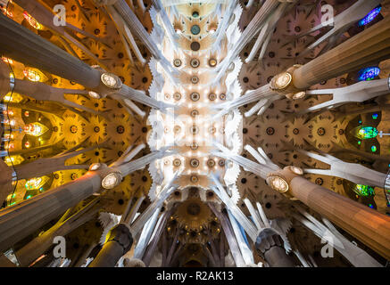 Barcelone, Espagne. Déc 20, 2017. Voir en haute dans l'intérieur de la cathédrale Sagrada Familia, une basilique catholique romaine dans le district de l'Eixample. Depuis 1882 il a été construit selon les plans de l'architecte catalan Antoni Gaudi. Crédit : Frank Rumpenhorst/dpa/Alamy Live News Banque D'Images