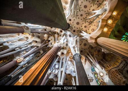 Barcelone, Espagne. Déc 20, 2017. Voir en haute dans l'intérieur de la cathédrale Sagrada Familia, une basilique catholique romaine dans le district de l'Eixample. Depuis 1882 il a été construit selon les plans de l'architecte catalan Antoni Gaudi. Crédit : Frank Rumpenhorst/dpa/Alamy Live News Banque D'Images