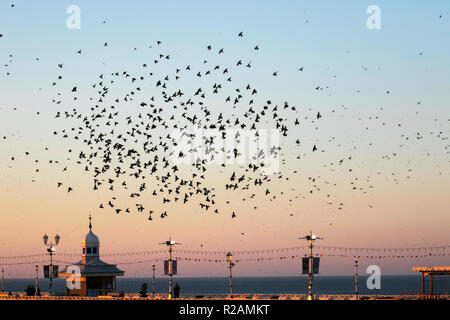 Lancashire, Royaume-Uni.18 novembre 2018.Le ciel s'assombrit au-dessus de Blackpool tandis que des dizaines de milliers de Starlings se rassemblent au-dessus de North Pier.On estime que 20,000 oiseaux qui rôdent naquellent et qu'ils se positionnent pour choisir le meilleur endroit pour survivre au froid sur la côte de Fylde; décrit comme la dernière danse avant le lit, la raison de l'envol, de la torsion et de la tortillonnage reste en grande partie un mystère.© MediaWorldImages/Alamy Live News Banque D'Images