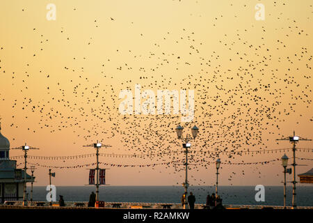 Lancashire, Royaume-Uni.18 novembre 2018.Le ciel s'assombrit au-dessus de Blackpool tandis que des dizaines de milliers de Starlings se rassemblent au-dessus de North Pier.On estime que 20,000 oiseaux qui rôdent naquellent et qu'ils se positionnent pour choisir le meilleur endroit pour survivre au froid sur la côte de Fylde; décrit comme la dernière danse avant le lit, la raison de l'envol, de la torsion et de la tortillonnage reste en grande partie un mystère.© MediaWorldImages/Alamy Live News Banque D'Images