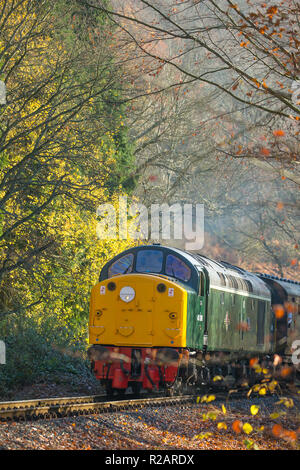 Bewdley, Royaume-Uni. 18 novembre 2018. Météo au Royaume-Uni : les passagers ferroviaires sur le chemin de fer Severn Valley (ligne ferroviaire du patrimoine entre Kidderminster et Bridgnorth) bénéficient d'un soleil d'automne glorieux tandis que leur locomotive diesel britannique d'époque, le 40106 Atlantic Conveyor, s'approche ici en passant par la campagne rurale d'automne du Worcestershire. Crédit : Lee Hudson/Alay Live News Banque D'Images