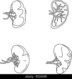 La rate anatomie laitance icons set. Aperçu de l'illustration 4 rate anatomie de laitance vector icons for web Illustration de Vecteur