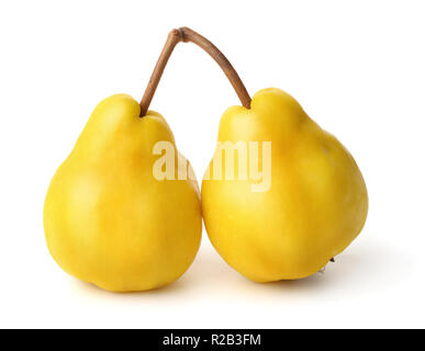 Les fruits mûrs de coing japonais isolated on white Banque D'Images