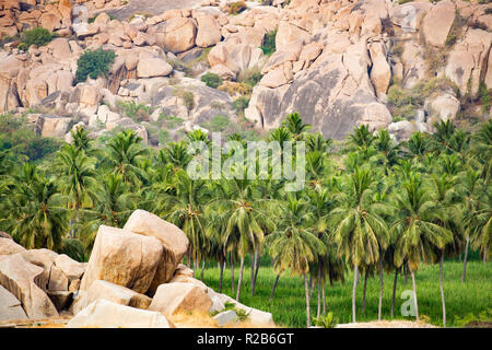 Un paysage extraordinaire avec des palmiers et des rochers de granit, Hampi, Karnataka, Inde. Banque D'Images