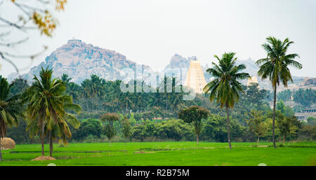 Temple Virupaksha entouré de rizières et de beaux palmiers. Hampi, Karnataka, Inde Banque D'Images