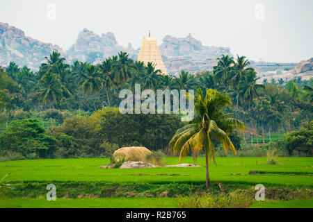 Temple Virupaksha entouré de rizières et de beaux palmiers. Hampi, Karnataka, Inde Banque D'Images