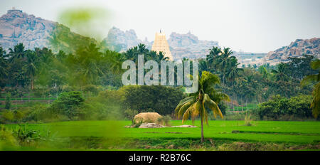 Temple Virupaksha entouré de rizières et de beaux palmiers. Hampi, Karnataka, Inde Banque D'Images