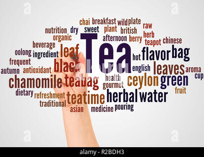 Plateau Nuage de mots et part avec le concept sur fond blanc. Banque D'Images