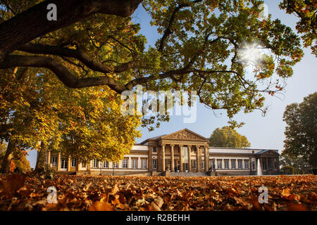 Stuttgart Allemagne park et Schloss Rosenstein en automne Banque D'Images