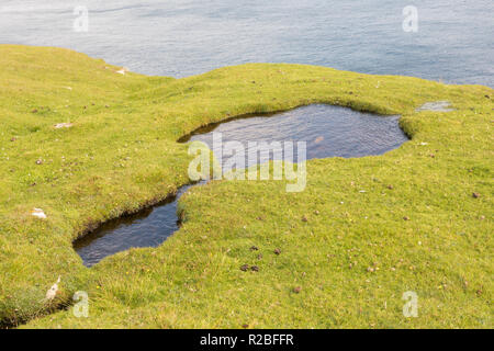 Paysage, Ness d'Hagmark, Unst, Shetland, UK Banque D'Images