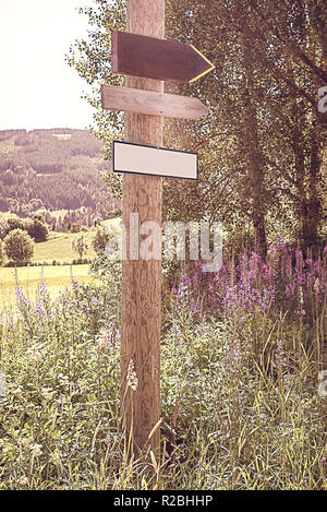 Rustique, faite à la main à l'ancienne flèche simple bois enseignes vierges sur un poteau en bois avec des fleurs sauvages et d'origine rurale dans la campagne - style Vintage Banque D'Images